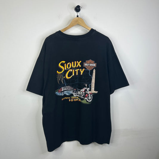 1999 HARLEY DAVIDSON SIOUX CITY BORN FREE