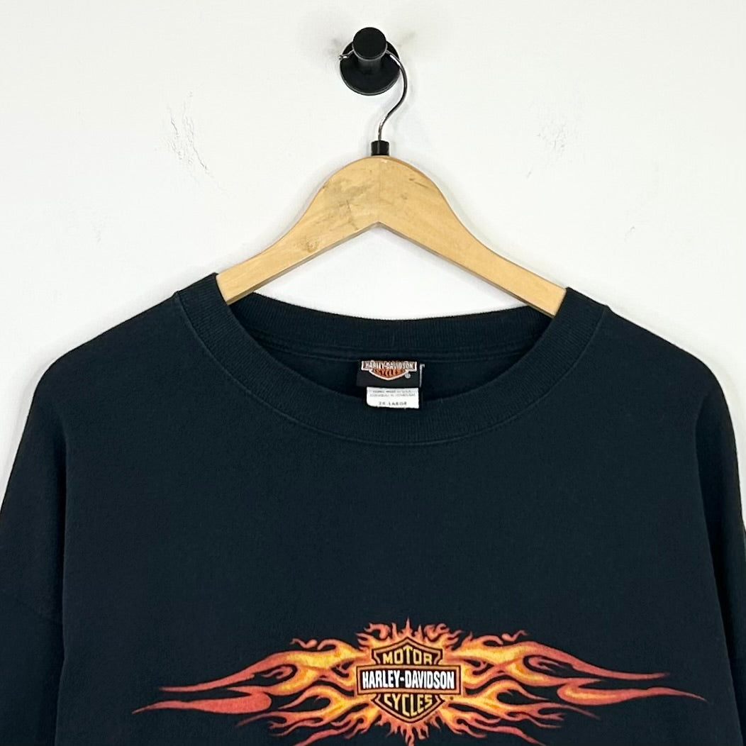 HARLEY DAVIDSON FLAMING SKULL LONG SLEEVE
