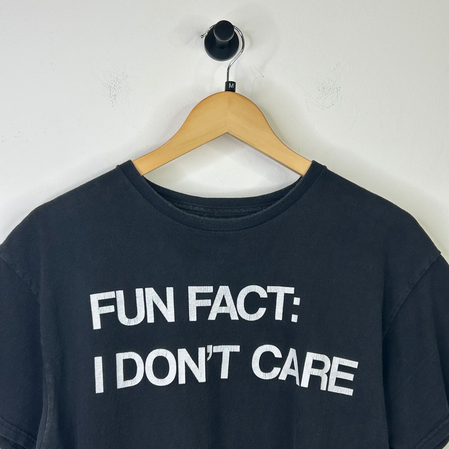 FUN FACT: I DONT CARE JOKE TEE