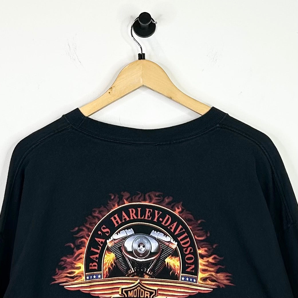 HARLEY DAVIDSON FLAMING SKULL LONG SLEEVE