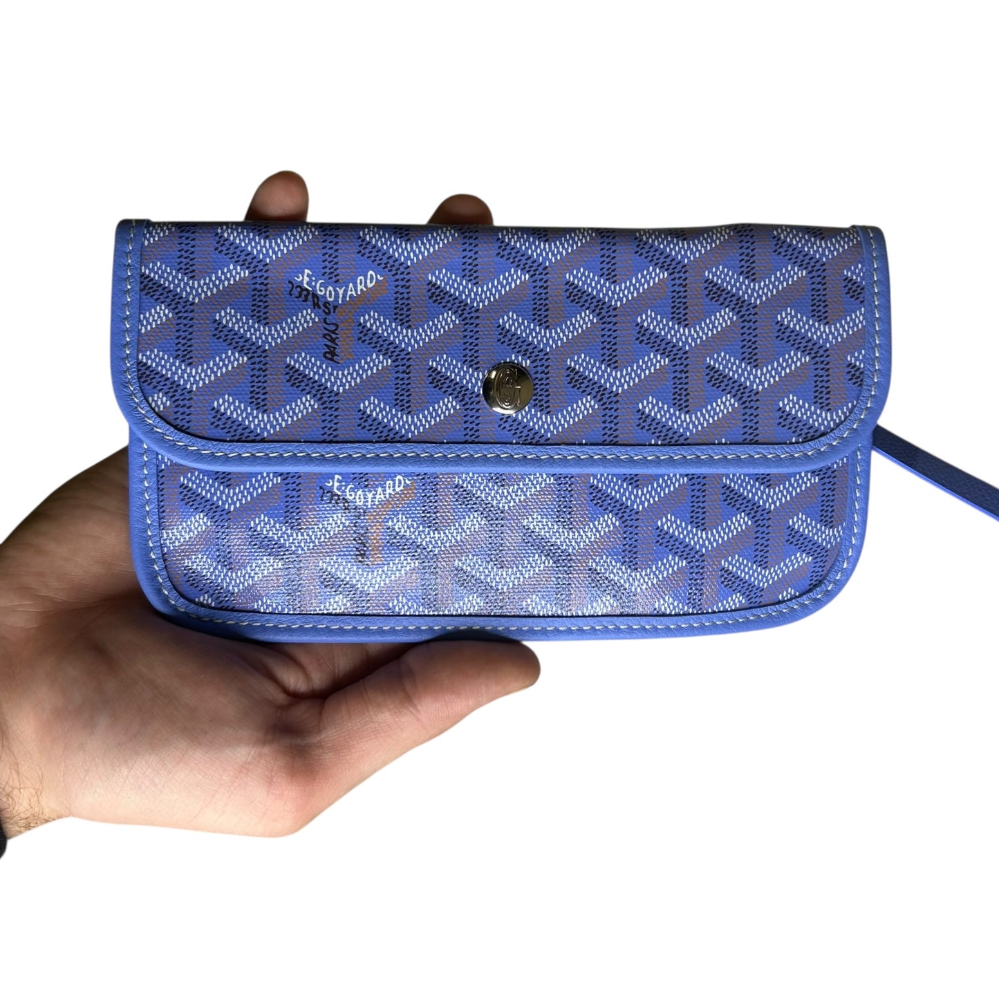 GOYARD GOYARDINE LE JARDIN ST LOUIS PM 2025 BAG