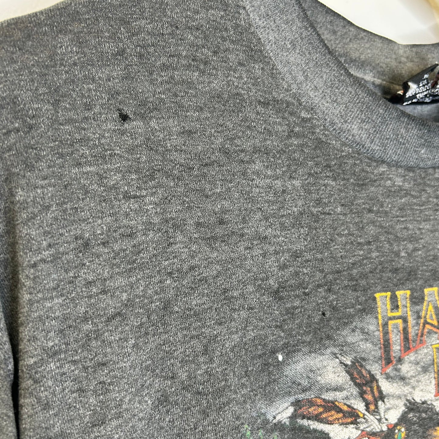 HARLEY DAVIDSON RIDE LIKE THE WIND TEE