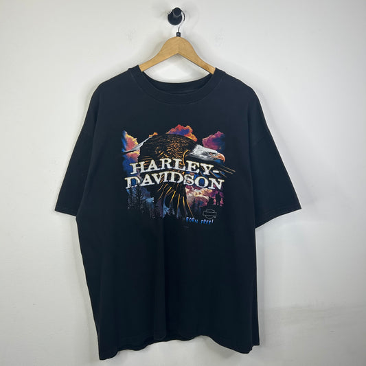 1999 HARLEY DAVIDSON SIOUX CITY BORN FREE