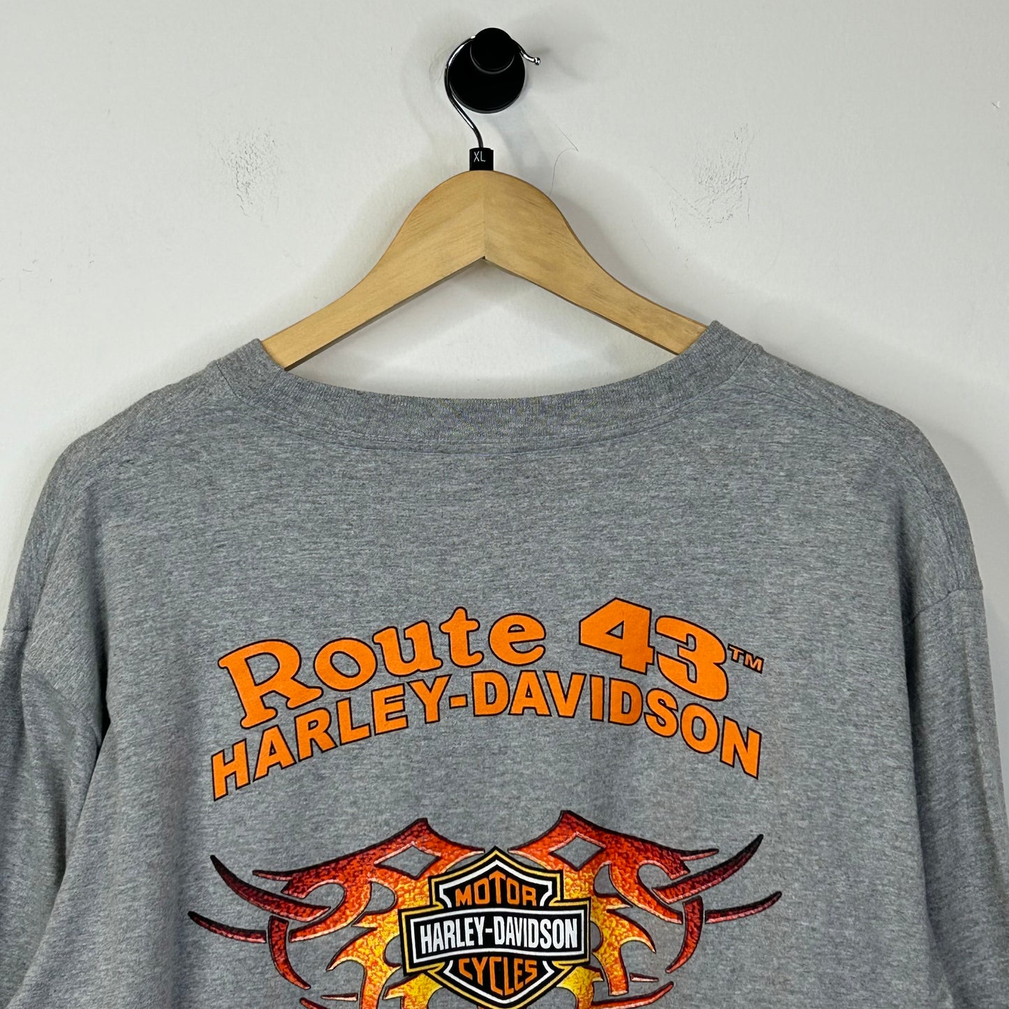 2004 HARLEY DAVIDSON ROUTE 43 SKULL FLAME SLEEVE TEE
