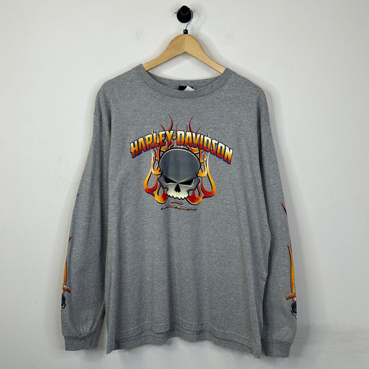 2004 HARLEY DAVIDSON ROUTE 43 SKULL FLAME SLEEVE TEE