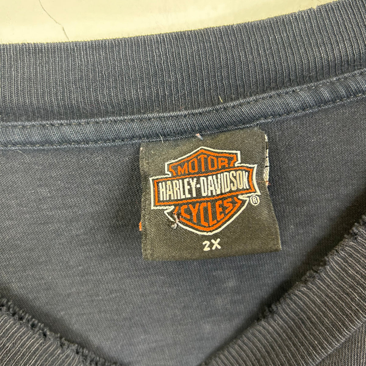 HARLEY DAVIDSON PAVEMENT MAKES THIS COUNTRY GREAT DISTRESSED TEE