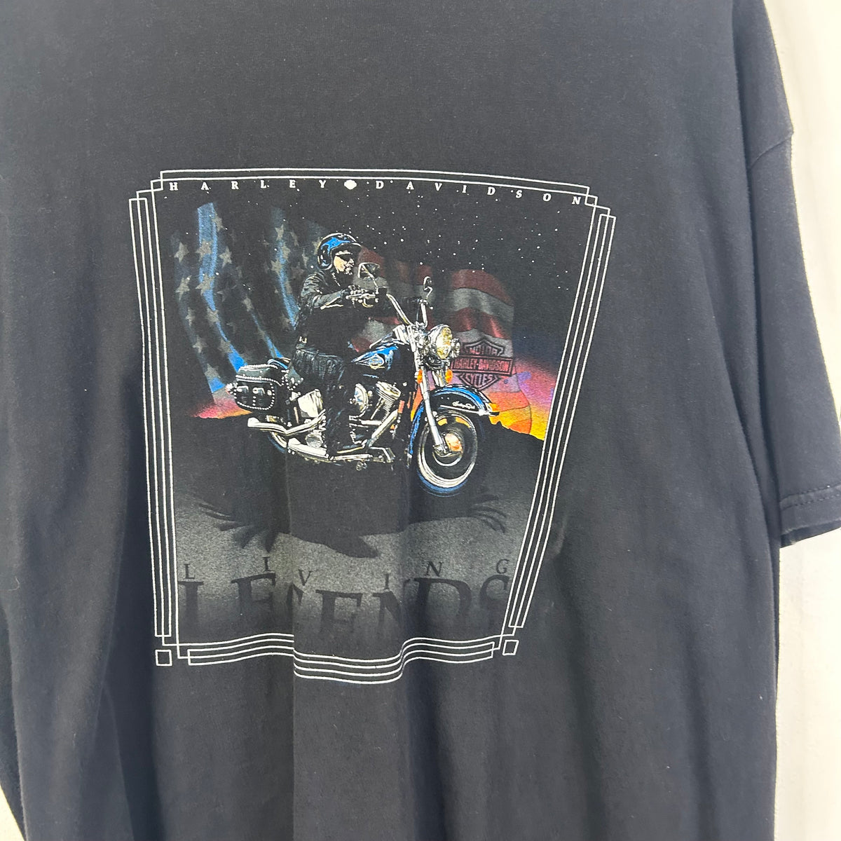 HARLEY DAVIDSON HAWK I BIRD TEE