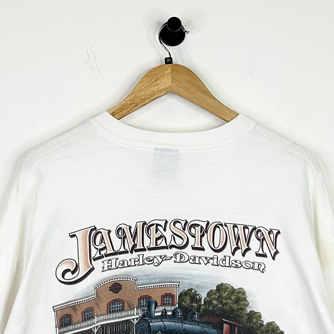 HARLEY DAVIDSON BLUE FLAME PHOENIX LONGSLEEVE