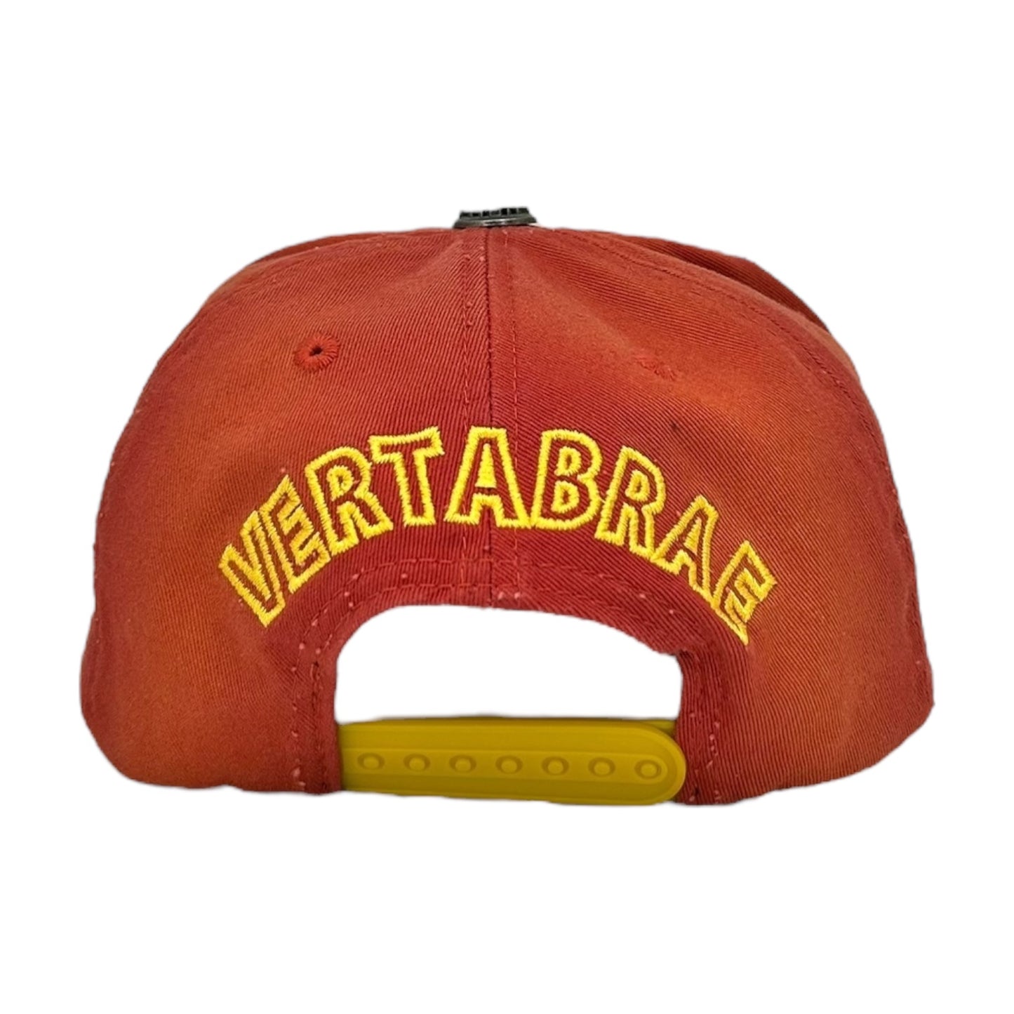 VERTABRE FADED RED YELLOW HAT