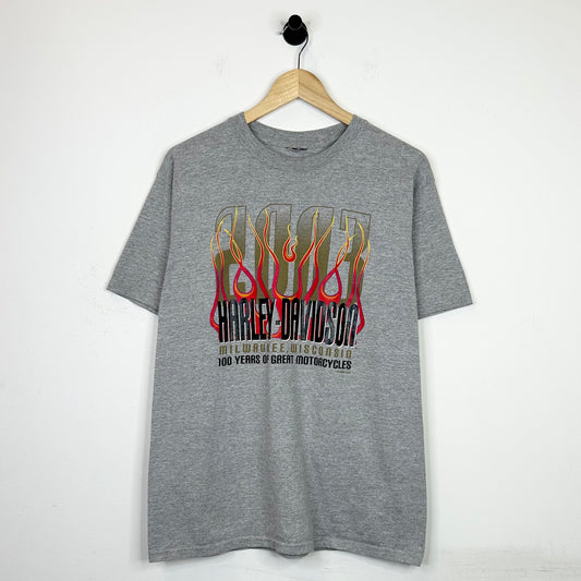 HARLEY DAVIDSON 100 YEARS FLAME TEE