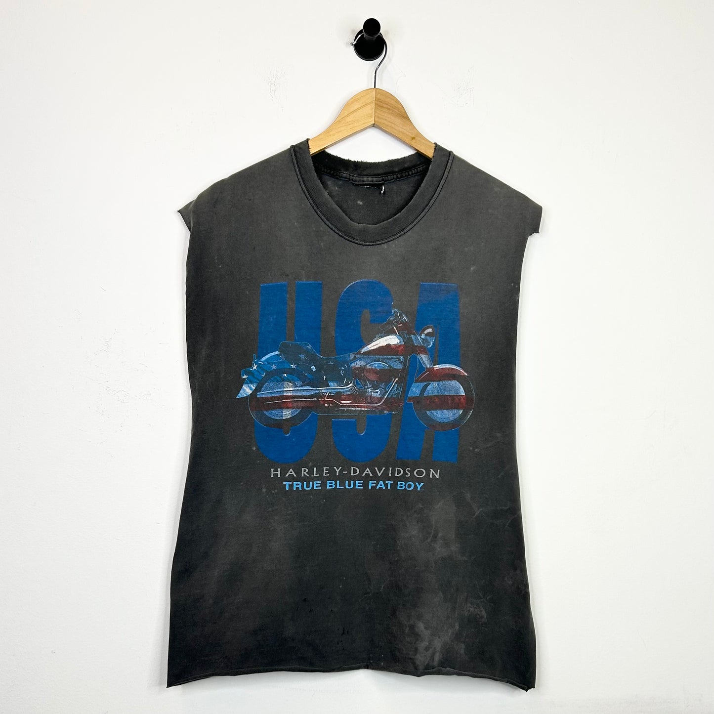 HARLEY DAVIDSON LAKELAND EAGLE SLEEVELESS TEE