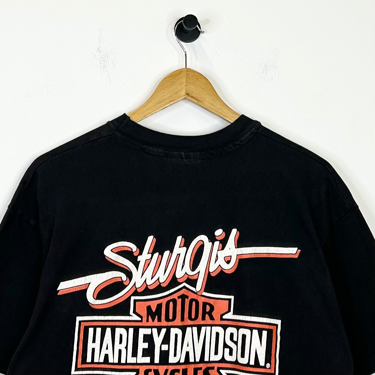 STURGIS I RODE MINE TEE