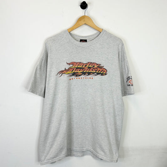 HARLEY DAVIDSON FLAME LOGO TEE